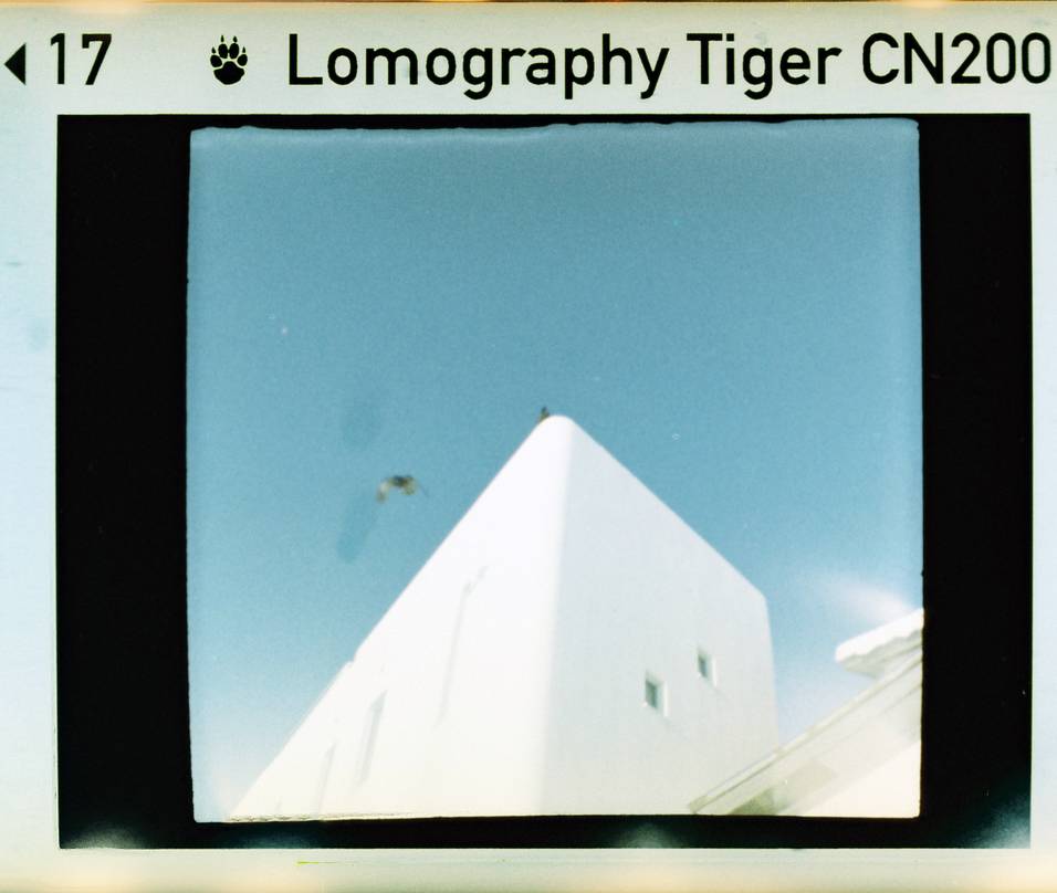 © 炉膛 | Diana Byby 110 胶片相机 &amp; Lomography Color Tiger 200 彩色负片