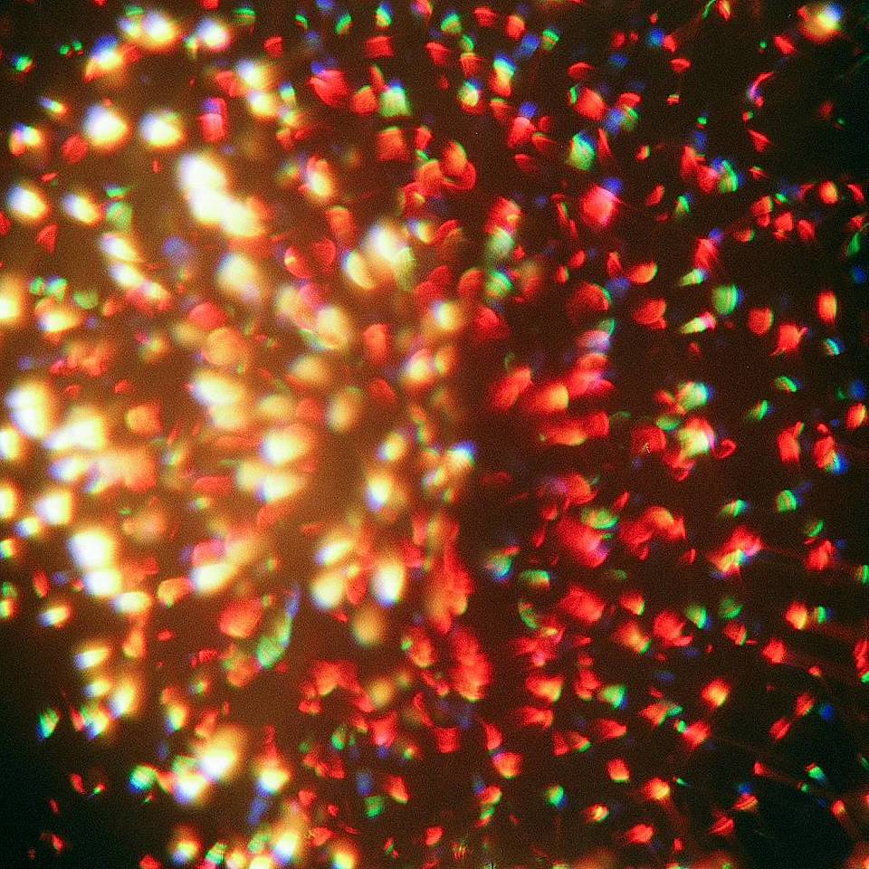 Photos shot by Bibio with the Diana F+