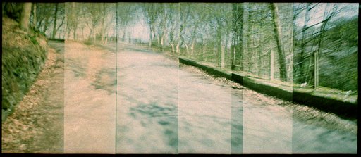Bulb, Panoramas and the Diana Mini