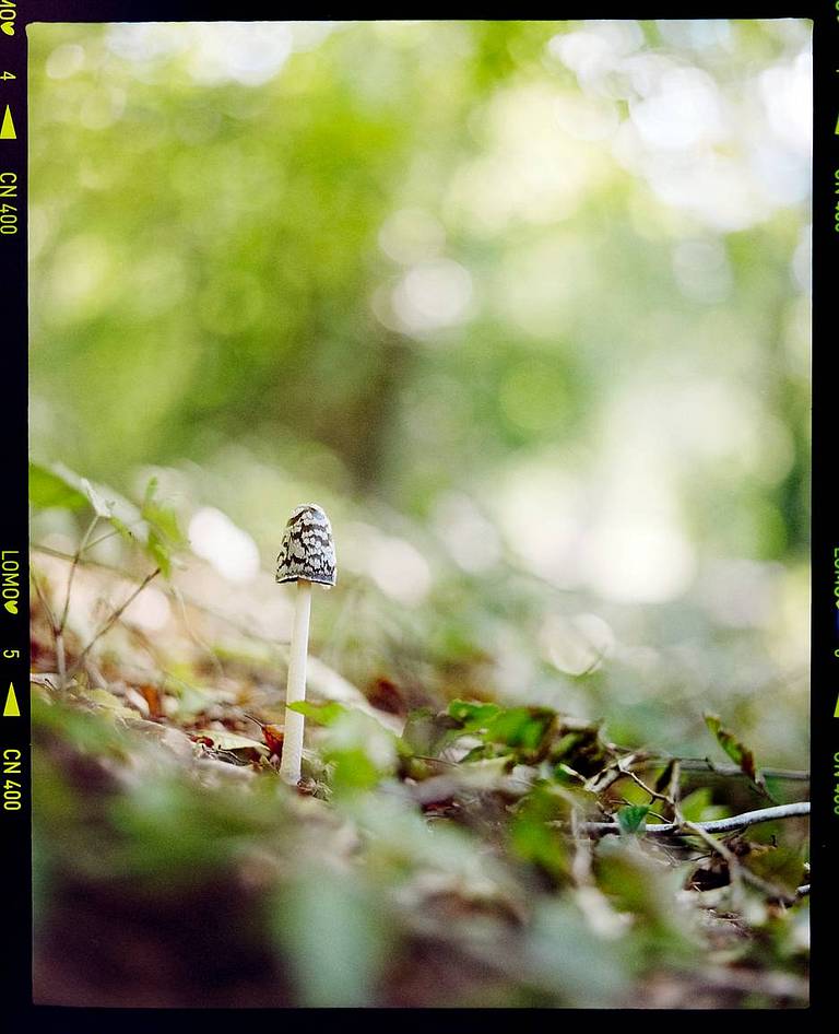 Lomography Color Negative ISO 400 120 彩色负片胶卷 由 Benjamin Arias 使用  DigitaLIZA+ 第二代胶片扫描匣 进行带边框数字化扫描；LomoChrome Classicolor ISO 200 110 经典版彩色负片 同样以带边框方式扫描。