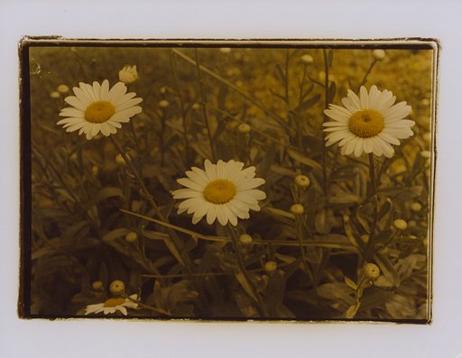 コンタクトシートとは？ · Lomography