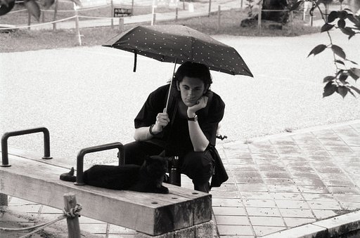 In The Frame: On Rainy Days