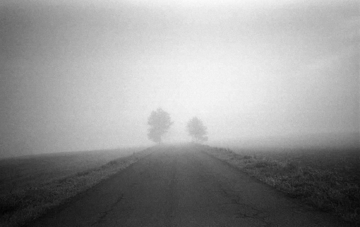 カメラ: Pentax espio W · Lomography