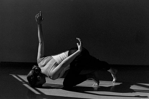 Hivewild: An Exploration of Movement in Monochrome