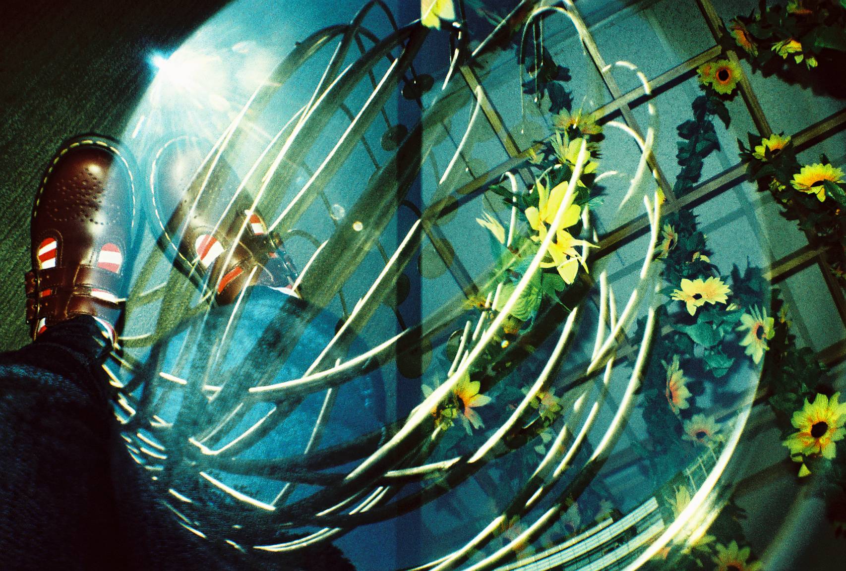 ユーザーレビュー： Diana Mini · Lomography