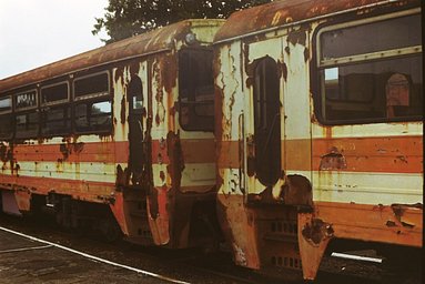 レンズ: Schneider-Kreuznach Xenon 50mm f2 · Lomography