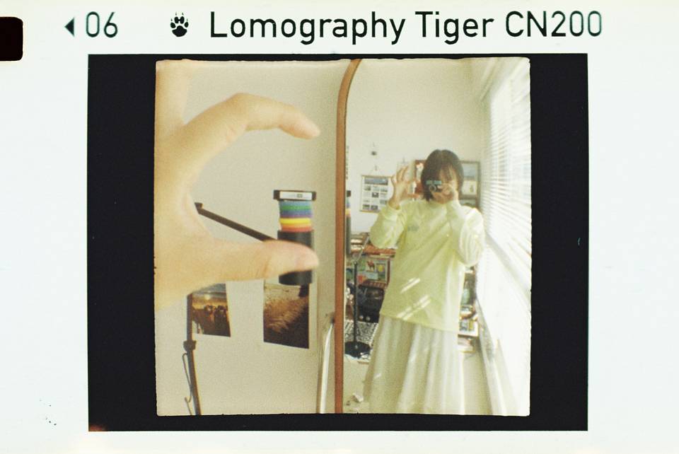 © 炉膛 | Diana Byby 110 胶片相机 &amp; Lomography Color Tiger 200 彩色负片