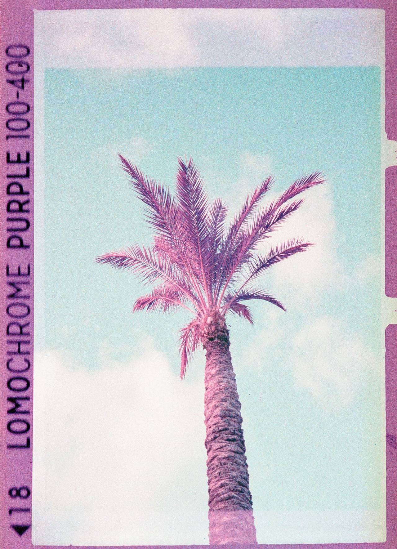 从众多胶片中脱颖而出 － 与市面上其他胶片不同，我们的 LomoChrome 胶片能够呈现无与伦比的效果。