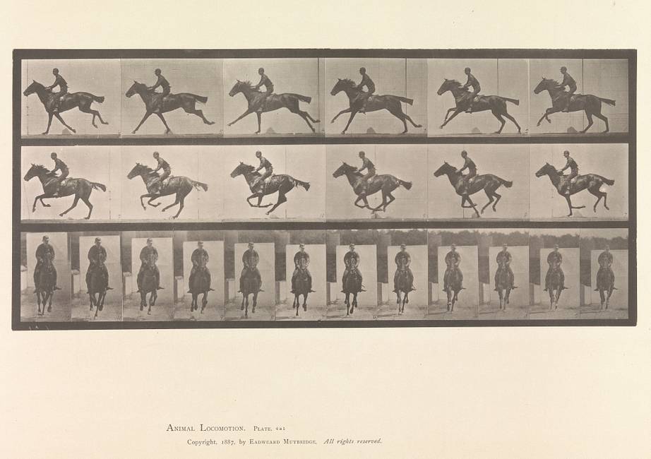 Credit: Eadweard Muybridge, 1887. 由照相凹版公司制作的照相凹版印相 The Met, Rogers Fund, transferred from the Library |  Armand-Hippolyte-Louis Fizeau, 1841.由 Noël-Marie-Paymal Lerebours 制作的照相凹版印相。 The Met, Gilman Collection, Museum Purchase, 2005