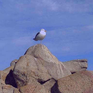 vistapoint