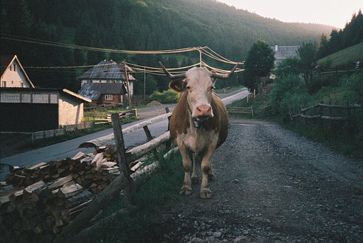 Around the World in Analogue: Apuseni Natural Park, Romania
