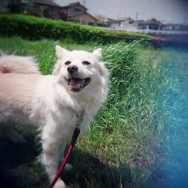 eiji