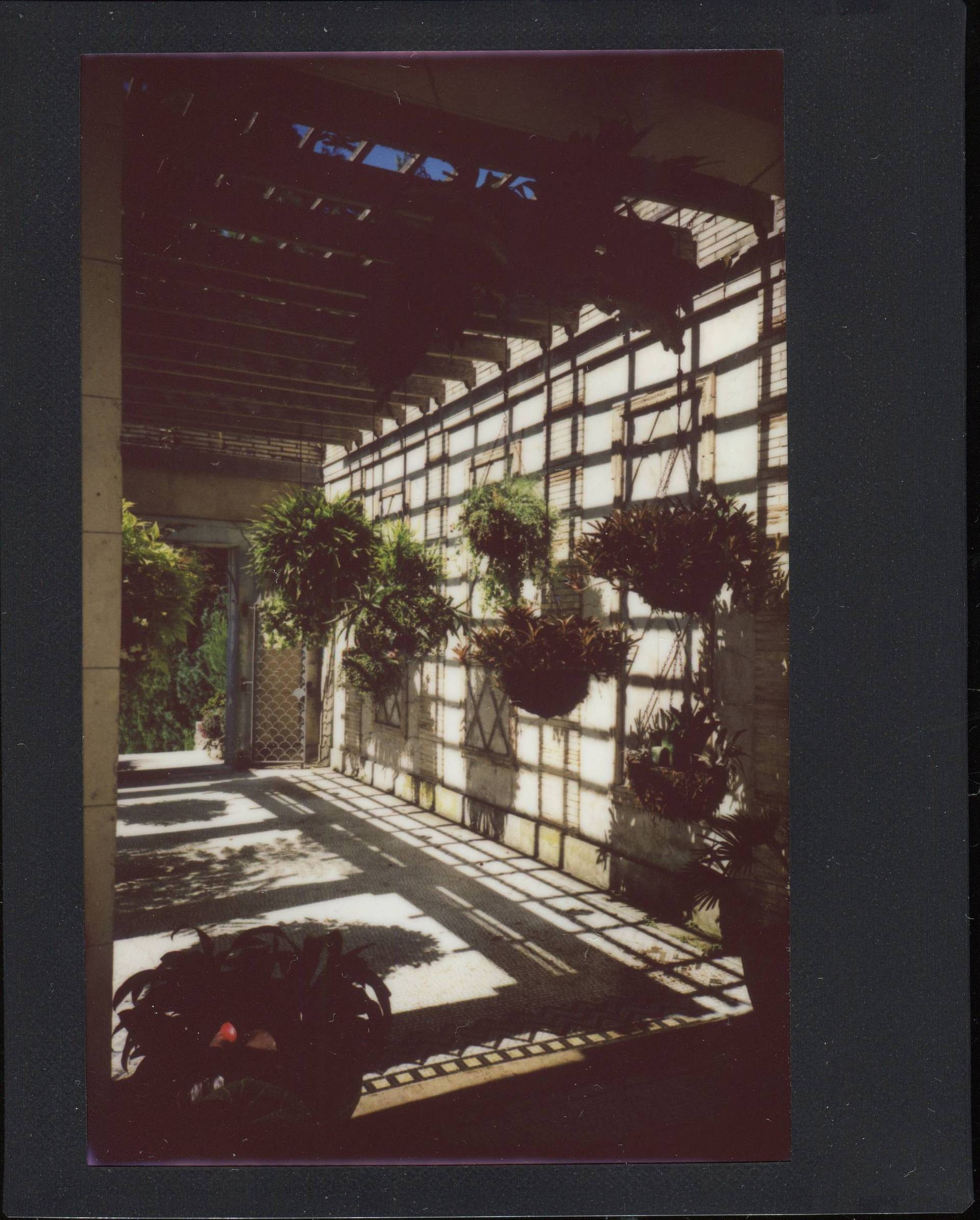 由 Ben Fraternale 使用 Lomo'Instant Wide Glass 拍摄