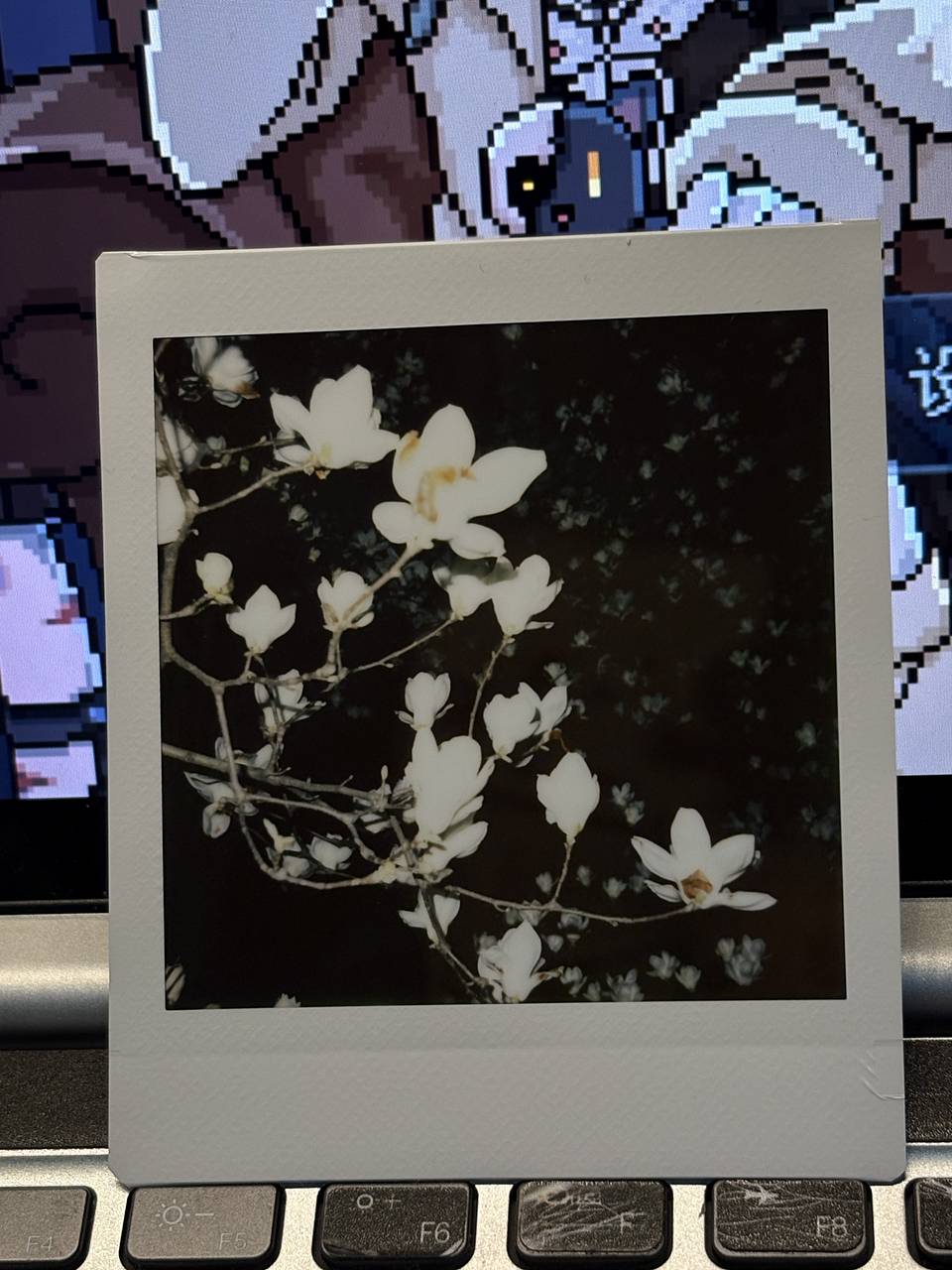 由 © Iris 拍摄