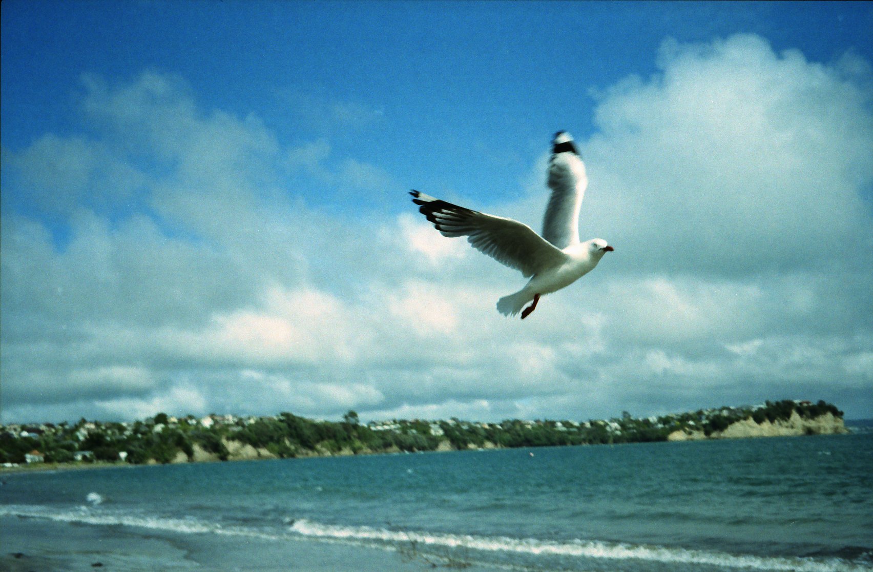 基本に戻ろう フィルム感度について · Lomography