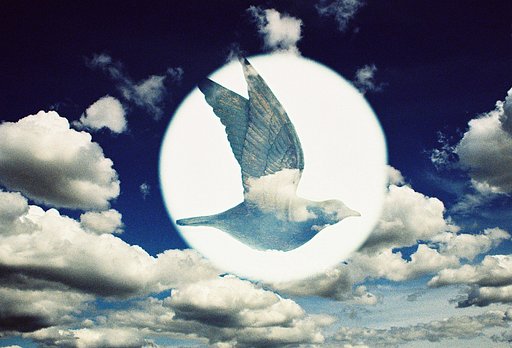 Magic with Realism: Yoshitaka Goto's Surrealism