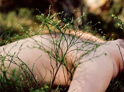 Forest, Trees And People: An Interview With Noora-Maija Tokee (NSFW)