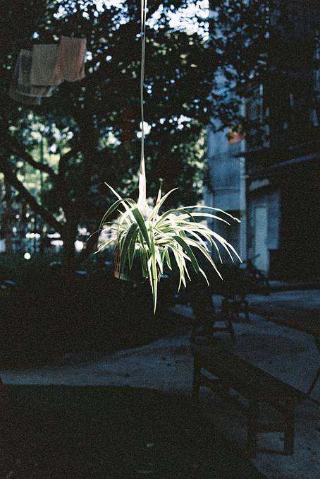 © YE | Shot on LomoChrome Color '92 ISO 400 135 日落版