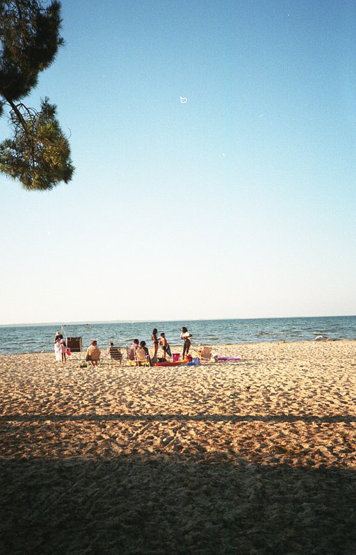 Getting to Know Astonuts and His 40+ Rolls with the Simple Use Reloadable Film Camera