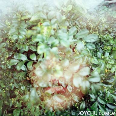 joychu
