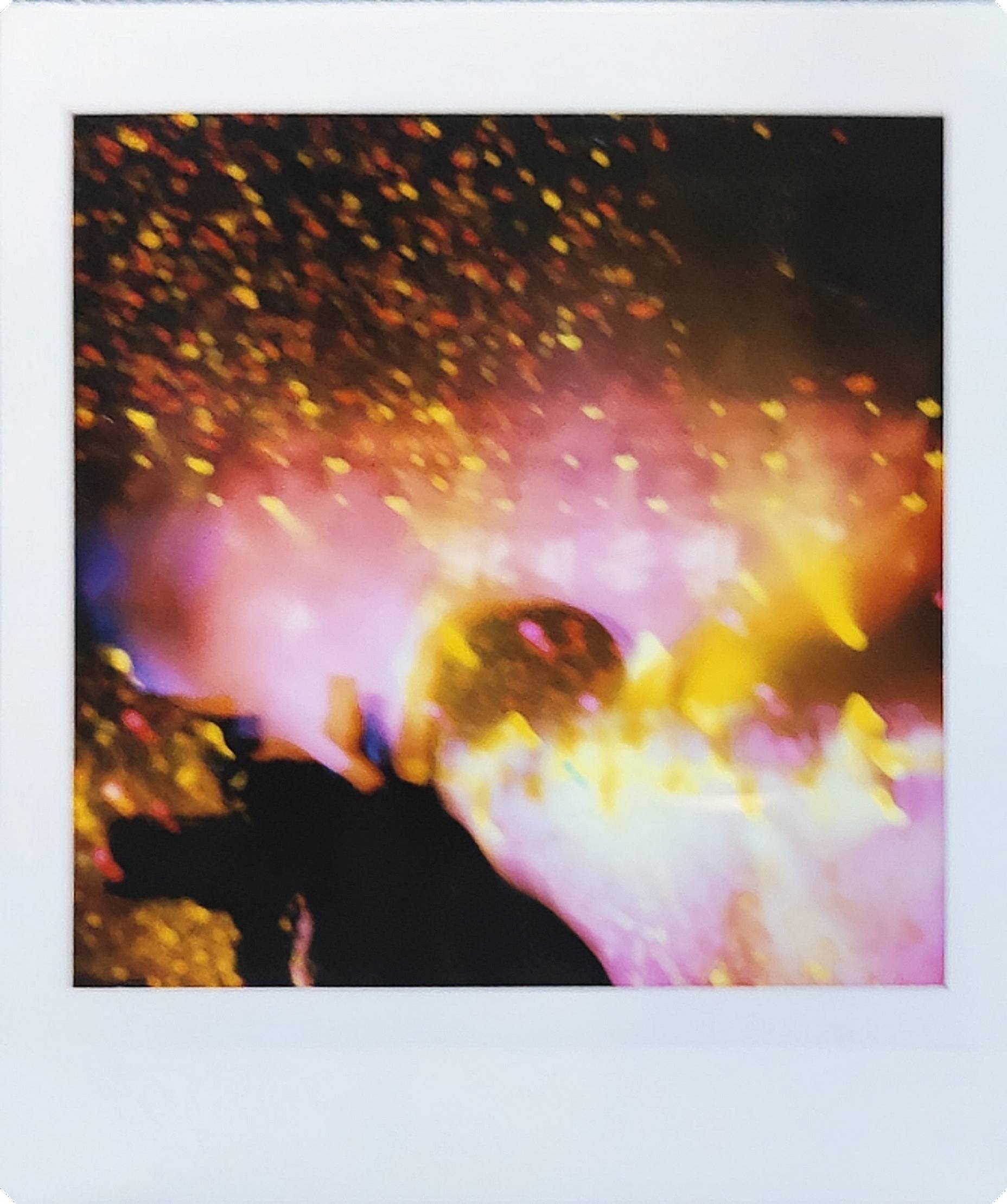 使用 Lomo'Instant Square 方形拍立得相机 拍摄