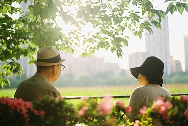 Camera: Fujica ST801 · Lomography