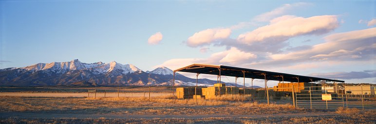 Lens: Fujinon W 125mm f5.6 · Lomography