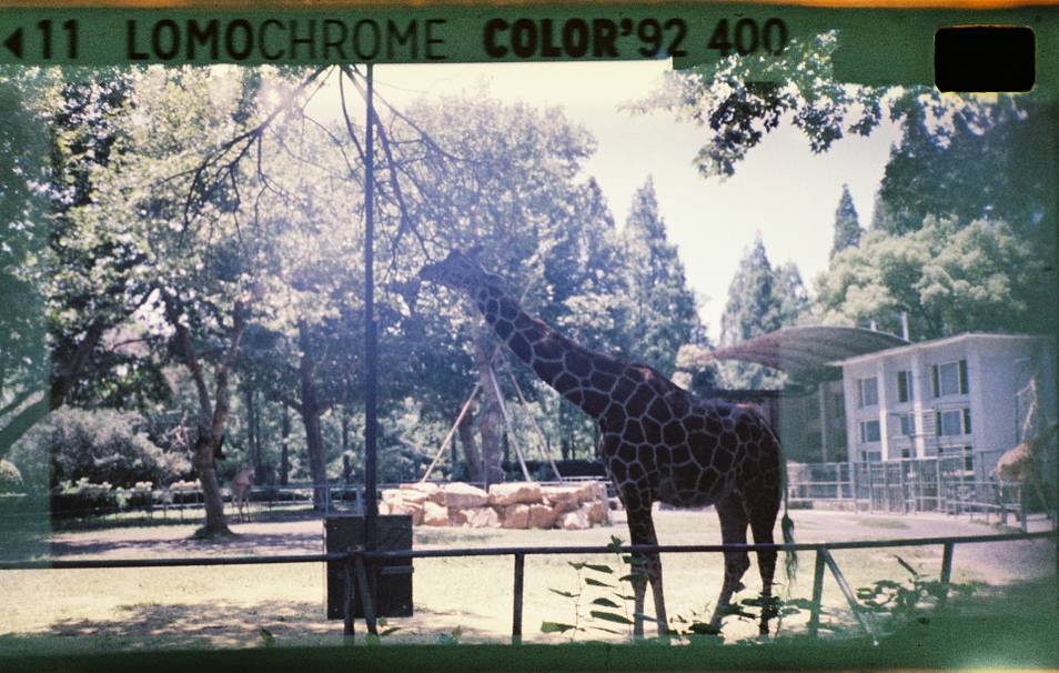 Lomomatic 110 自动玻璃镜头胶片相机连闪光灯 + LomoChrome Color '92 ISO 400 110 彩色负片