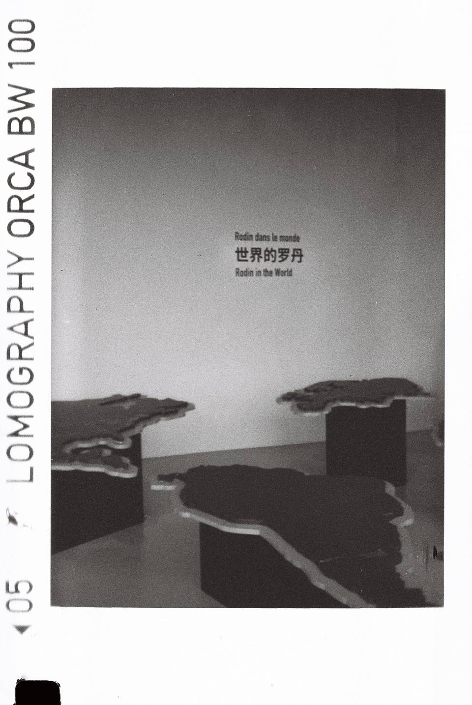 【活动回顾】漫步世博园，用 110 胶片定格建筑之美