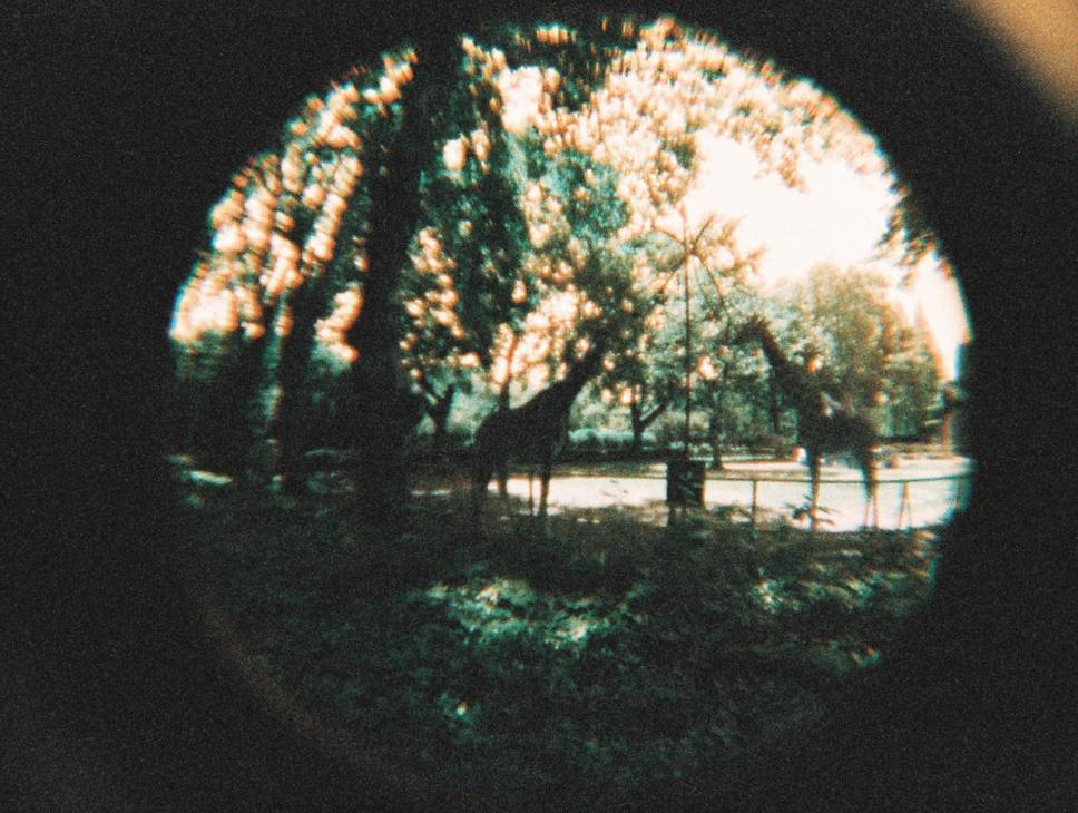 Fisheye Baby 110 鱼眼胶片相机 + LomoChrome Turquoise XR 100-400 110 绿松石胶卷