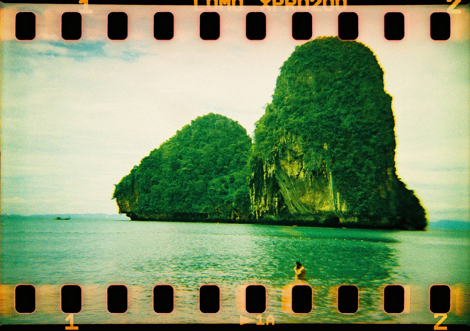 35mm Back+で撮影された美しいDiana F+ 写真 · Lomography