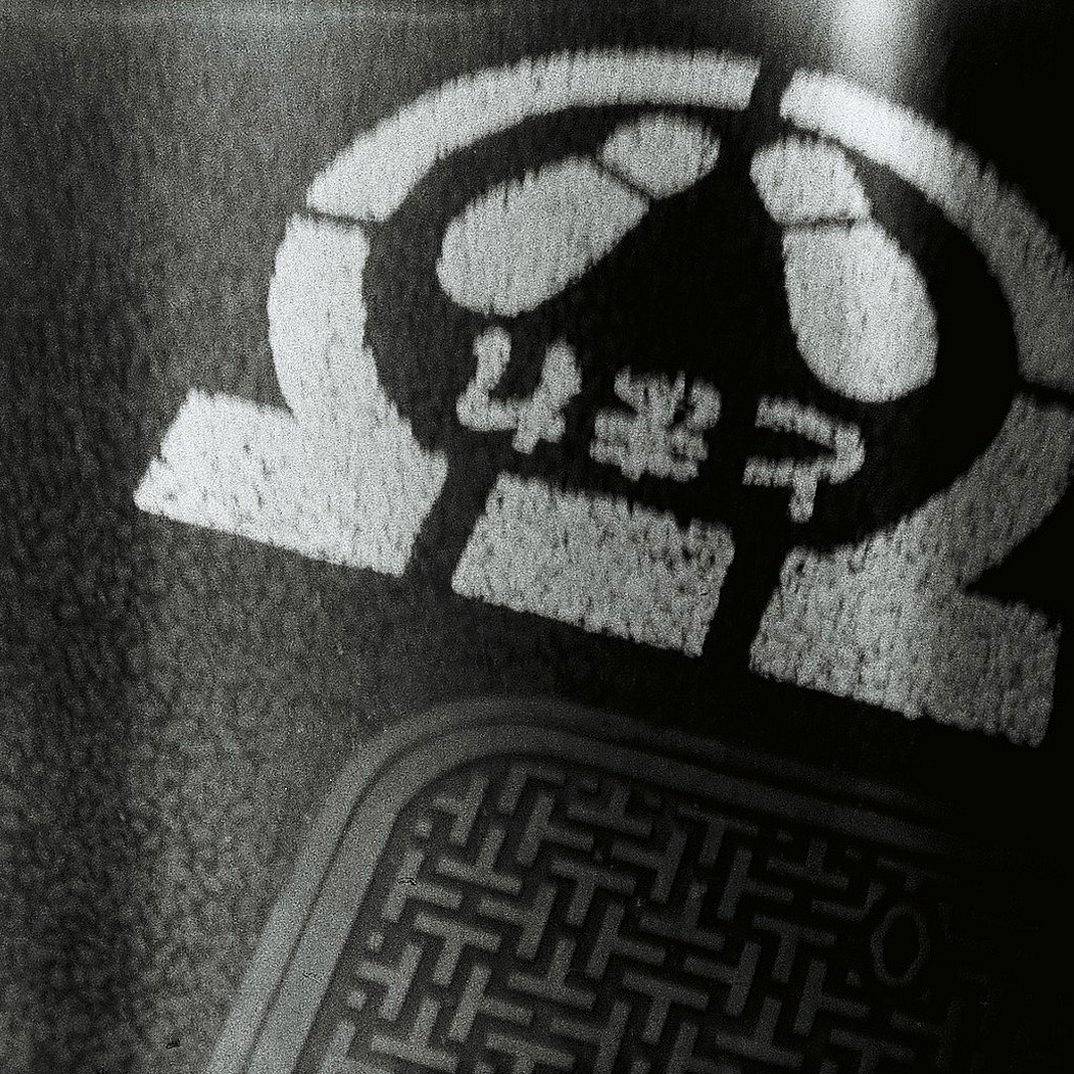 追逐光影 － 这卷胶卷适合进行逆光拍摄，以获得引人注目的照片。
