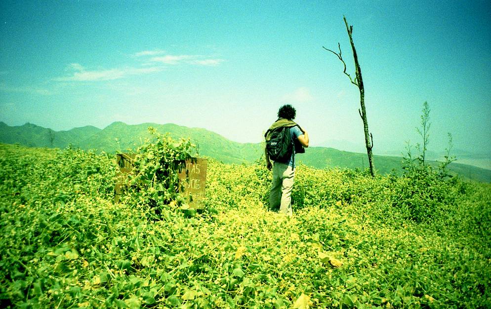 所有照片均使用正片拍摄，并以 C-41 药水冲洗：lomomowlem 以 Lomography X-Pro Chrome 100 拍摄、qrro 以 Fuji Sensia 200 拍摄、frenchyfyl 以 Agfa CT Precisa 100 拍摄、azurblue 以 Fuji Velvia 50 拍摄