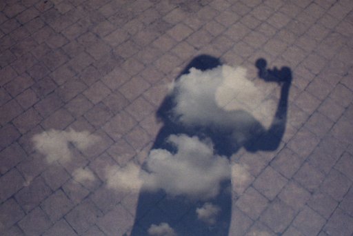LomoAmigo: Selfies and Daily Life in Anna Di Prospero's Pictures