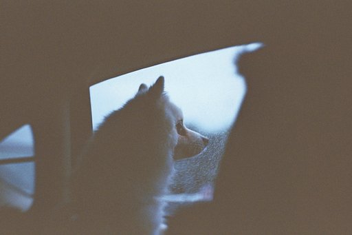 Petzval 58 Amigo: Stacey Lin