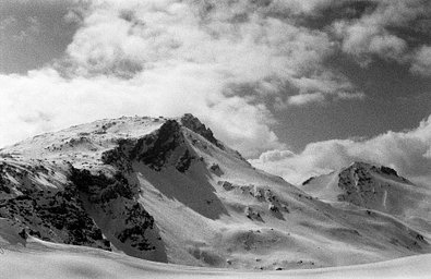 Camera: Fujifilm NATURA CLASSICA · Lomography