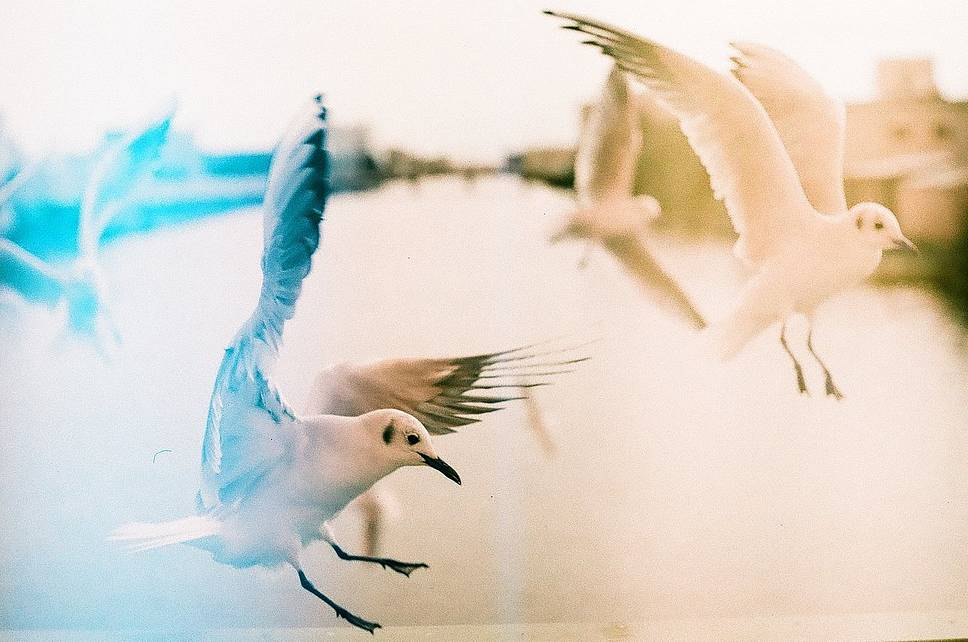 图 1 和图 3 使用 LomoChrome Turquoise 绿松石胶卷拍摄