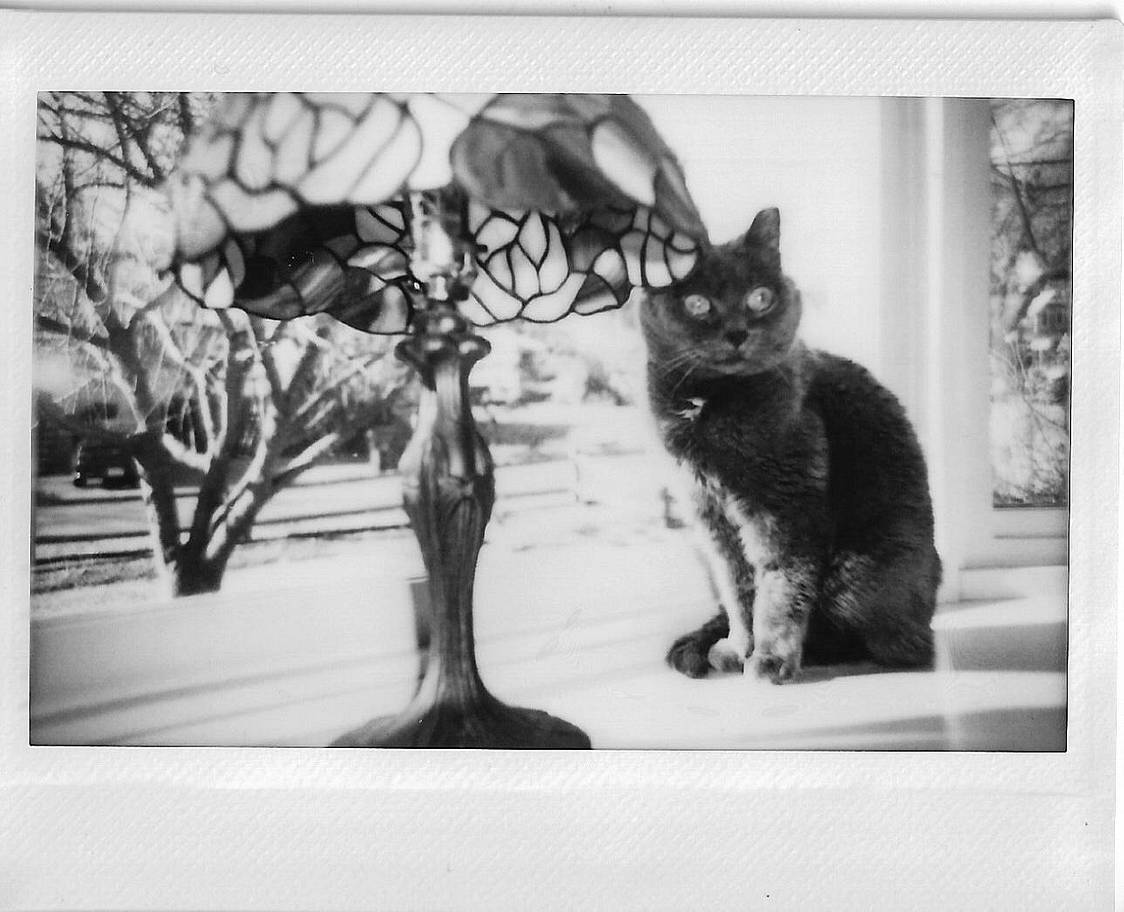 © camera-lust, candeeland, manuelpeter, leanover, seencity, mmattia &amp; theofromgreece