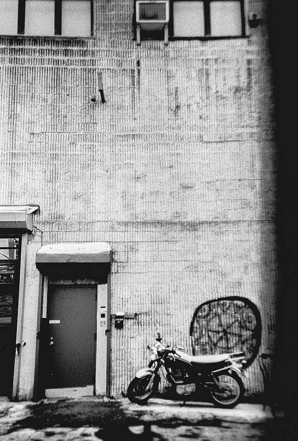 Photo credits: Lomography USA