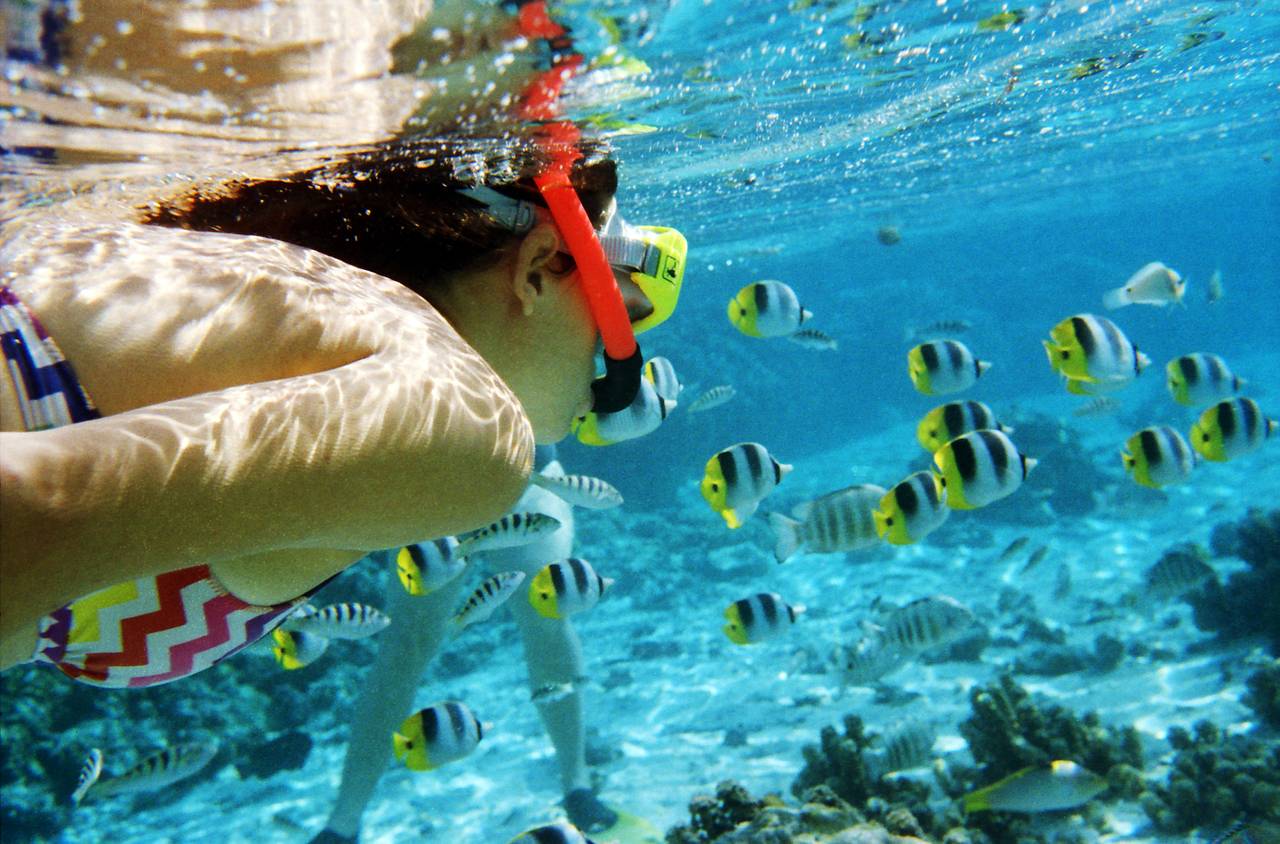 Get the Lomography look and render photographs bursting with life.