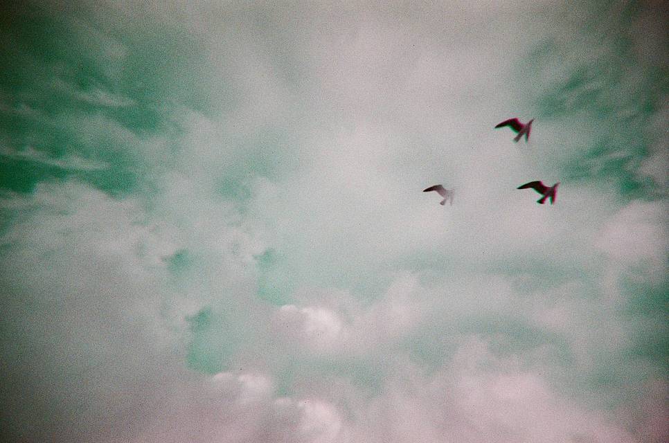 Credits: bnjmn, jmcedo, amp_puttipong, aka_papu, lomolubitel92, severinegodissart &amp; lomographer_to_be