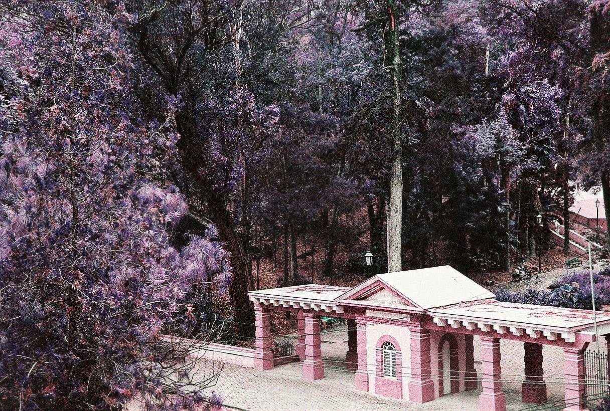 Bosque Los 森林 是一片郁郁葱葱的城市森林，让你瞬间忘却自己仍置身于喧嚣的市区之中。你可以沿着小径悠闲漫步，参观日式花园，或者体验骑马的乐趣。带上你的 LomoChrome Purple 紫调负片胶卷，在这个宁静的绿洲中尽情尝试超现实的光影色调吧。(Photo by gerry_film_guy )