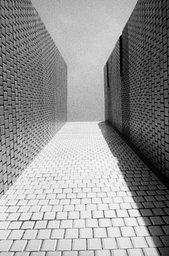 カメラ: Taron 35 · Lomography