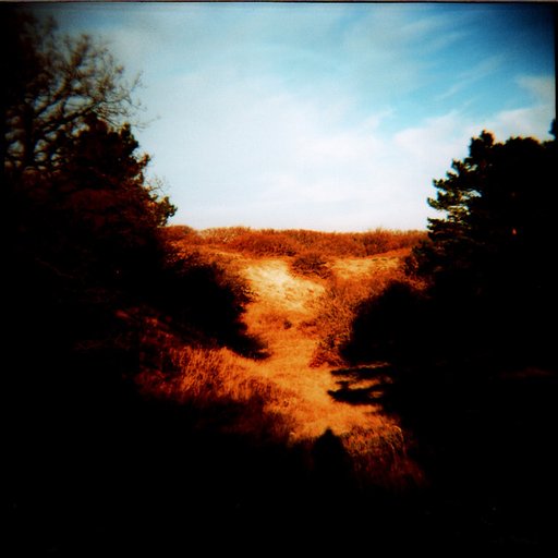LomoLove: My LomoHome of the Day Award Speech