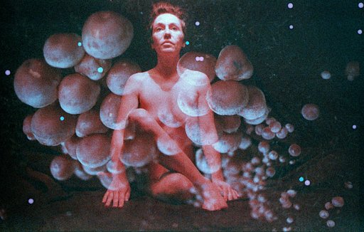 Vibrating Variety—Tips and Tricks on double exposure from LaLouve Pt II