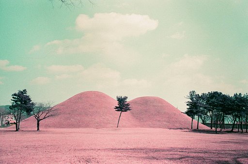 A Photographer’s Lifestyle Guide to Gyeongju, South Korea