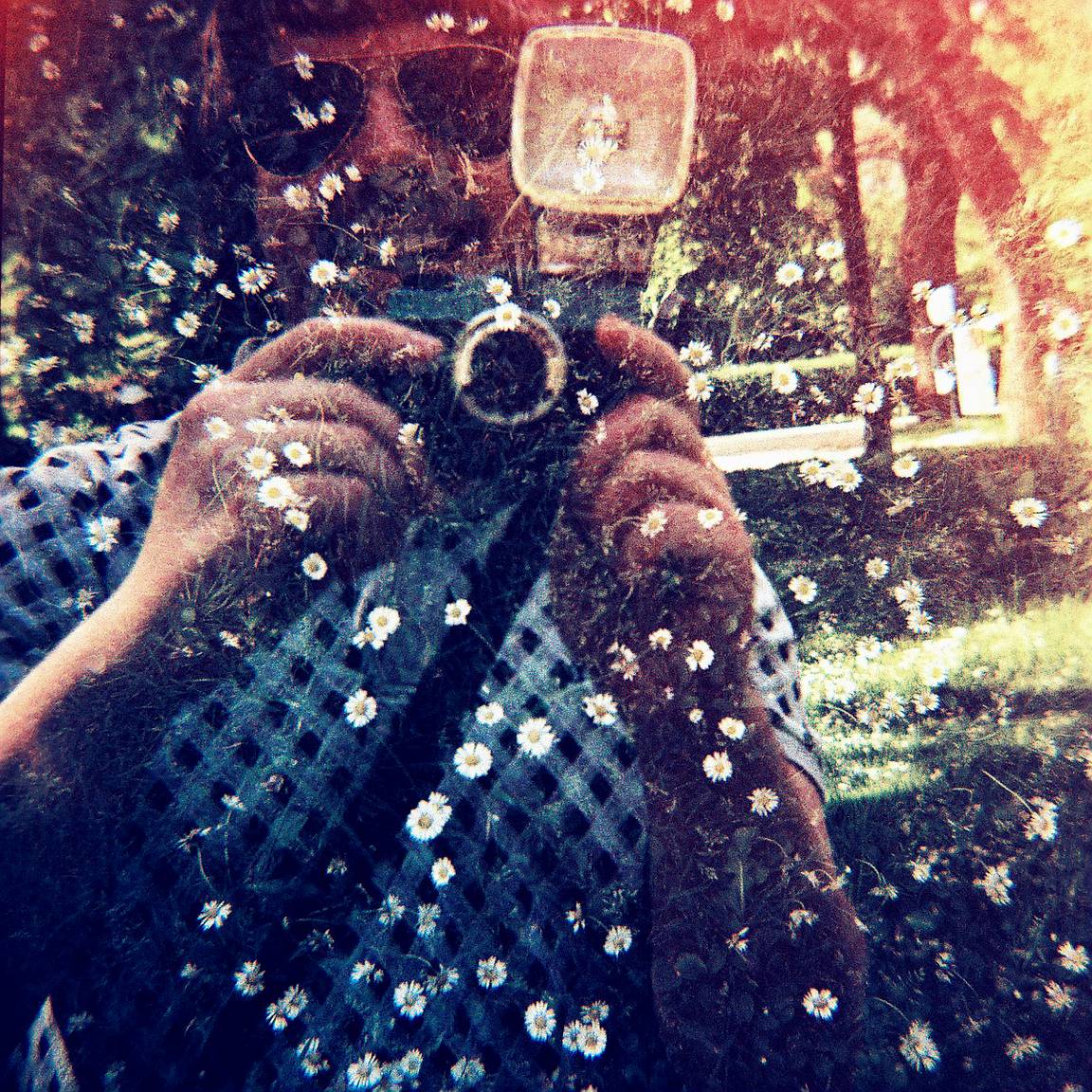 Appareil Photo Diana F+ Buttercup – Lomographie – État Correct, Fonctionnel