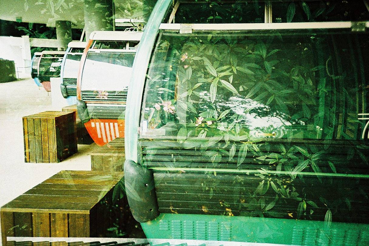 花柏山 拥有新加坡最高的观景视角。从下三角洲路徒步至山顶，准备好欣赏新加坡海岸线的鸟瞰美景吧。另外，一定要去 亨德森波浪桥 ，沉浸在自然景致中，用 LomoApparat 21mm 阿帕赫超广角胶片相机 这样的便携式相机，捕捉沿途风光！(Photo by chikumumu )