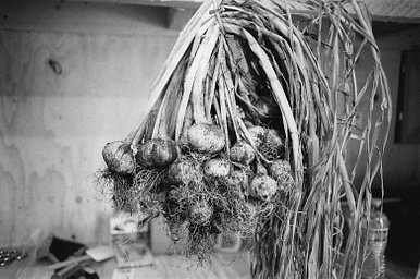 Film: Kodak Tmax P3200 (35mm, 1600 iso) · Lomography