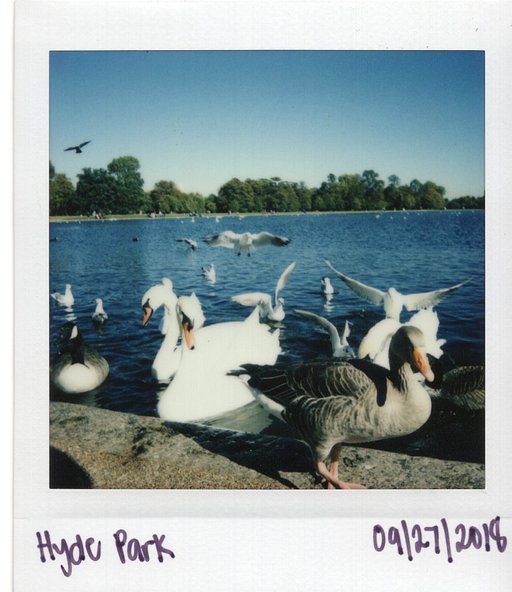 @claudinehere: Collecting Memories Through Instant Photography